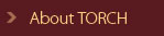 About Torch